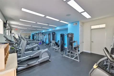 1030 Bellasol Way Apollo Beach FL 33572