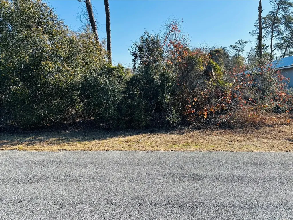 0 SW 153rd Place Road Ocala FL 34473