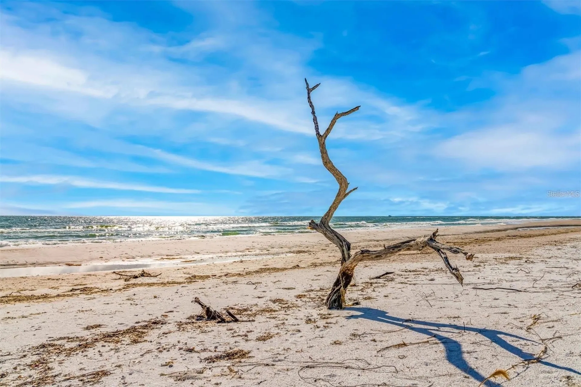 6680 Gulf Of Mexico Drive Longboat Key FL 34228