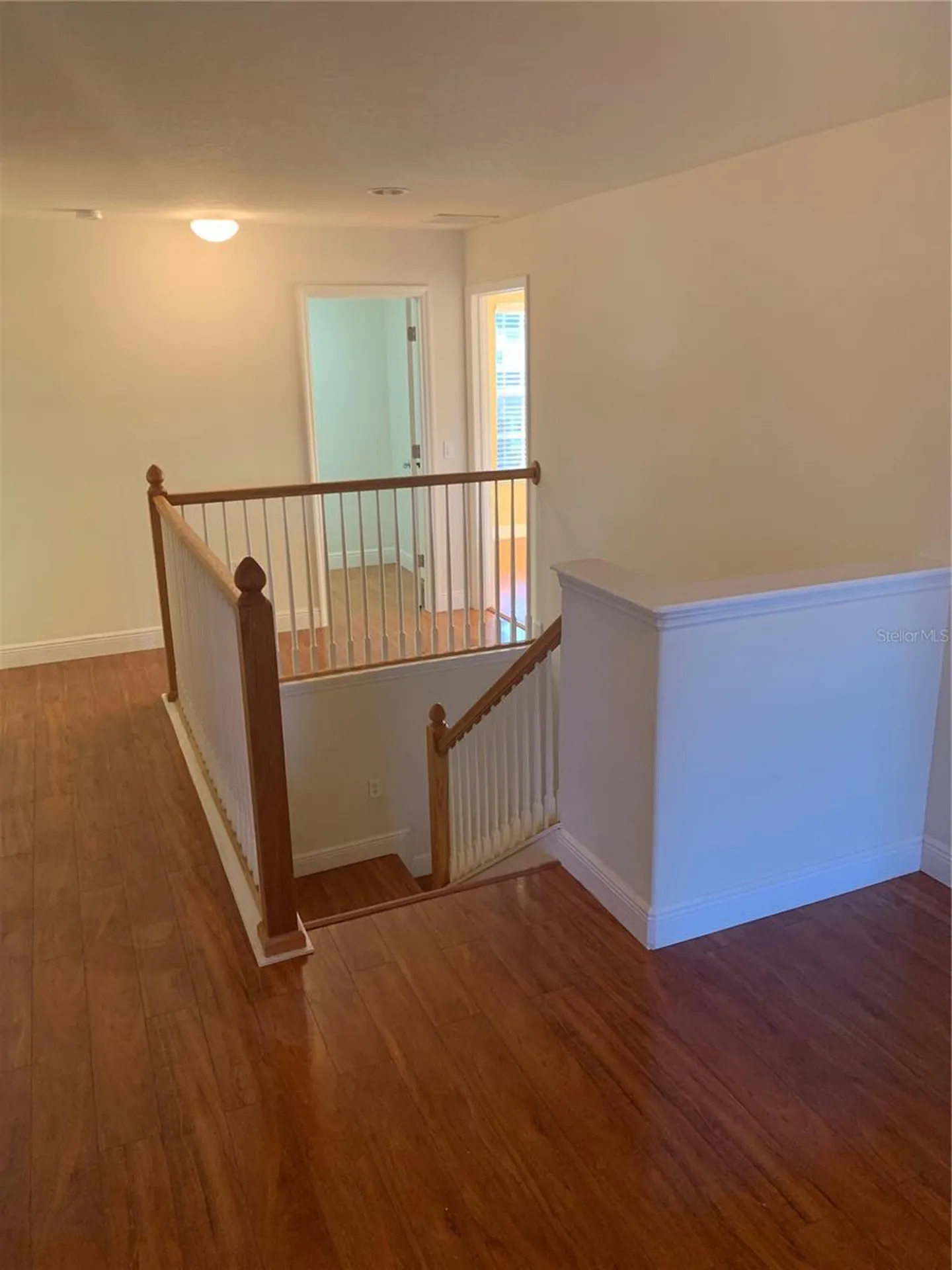 8810 Cameron Crest Drive Tampa FL 33626
