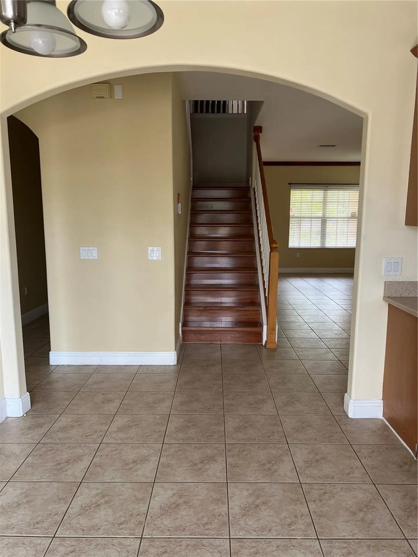 8810 Cameron Crest Drive Tampa FL 33626