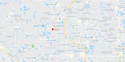 8810 Cameron Crest Drive Tampa FL 33626