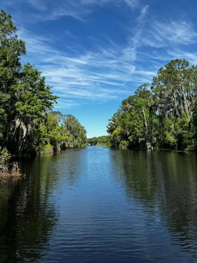 3672 Hidden River Lane Tavares FL 32778