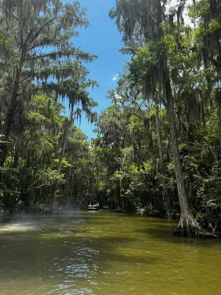 3672 Hidden River Lane Tavares FL 32778