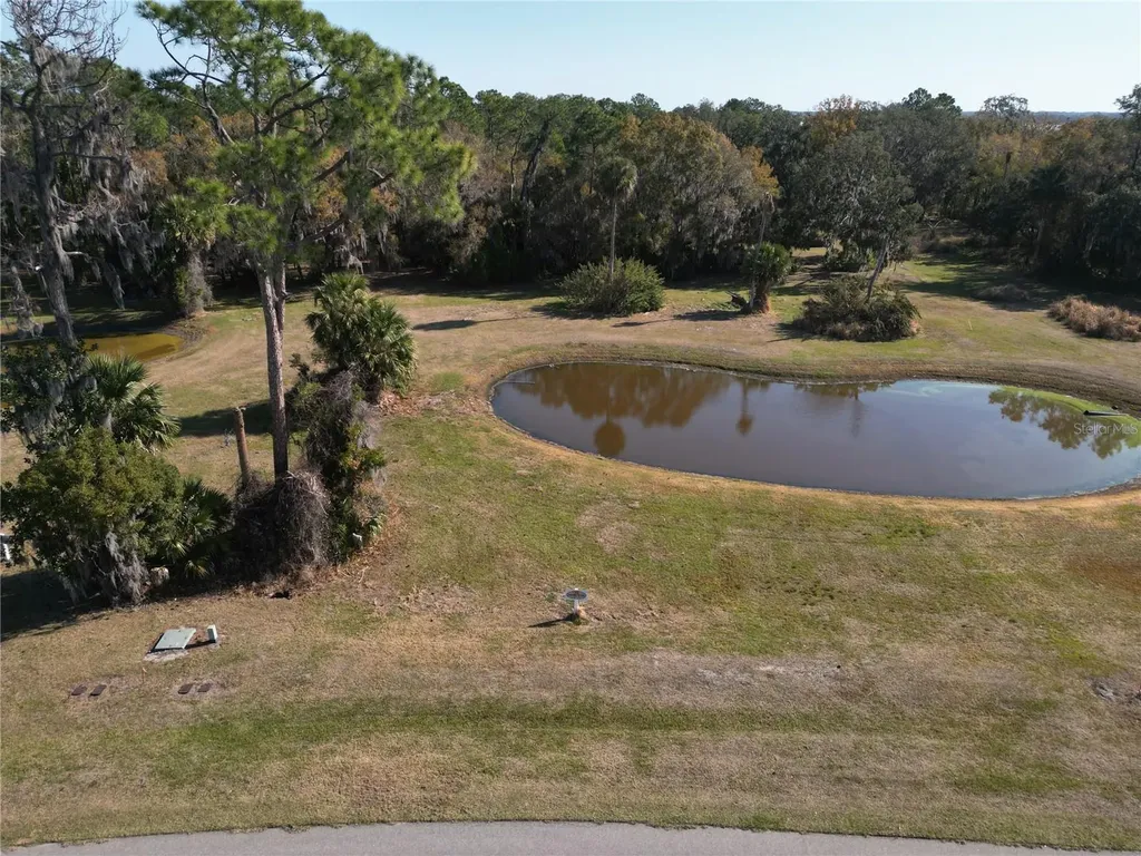 3672 Hidden River Lane Tavares FL 32778