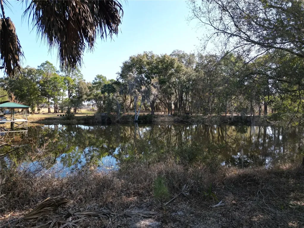 3672 Hidden River Lane Tavares FL 32778