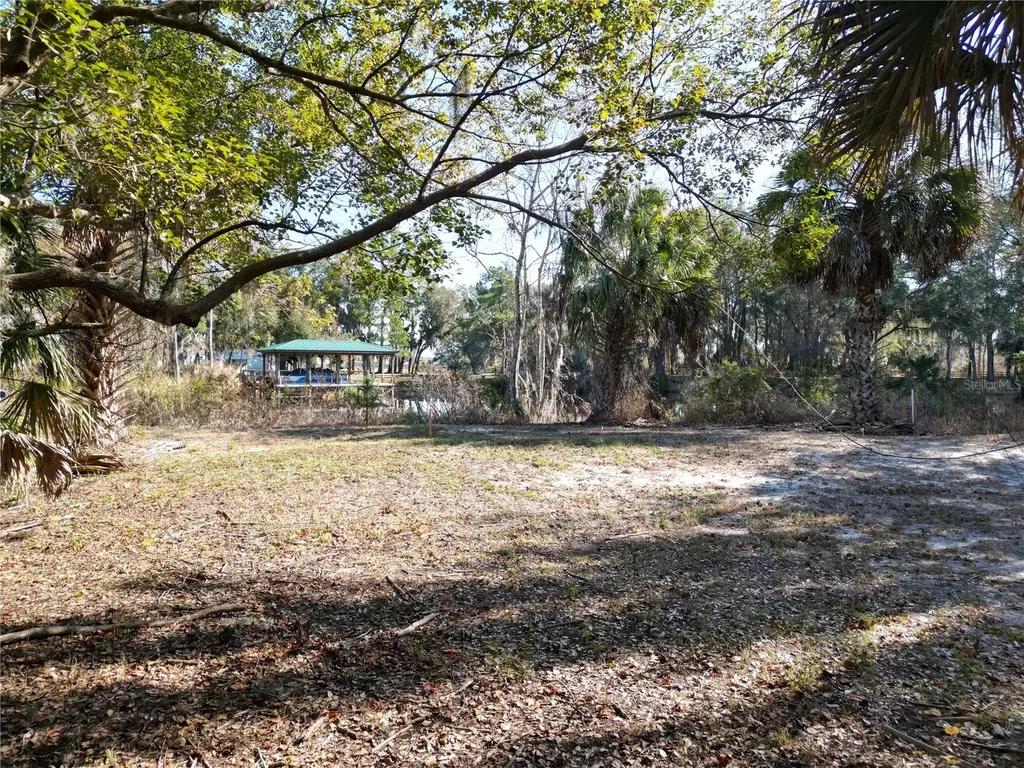 3672 Hidden River Lane Tavares FL 32778