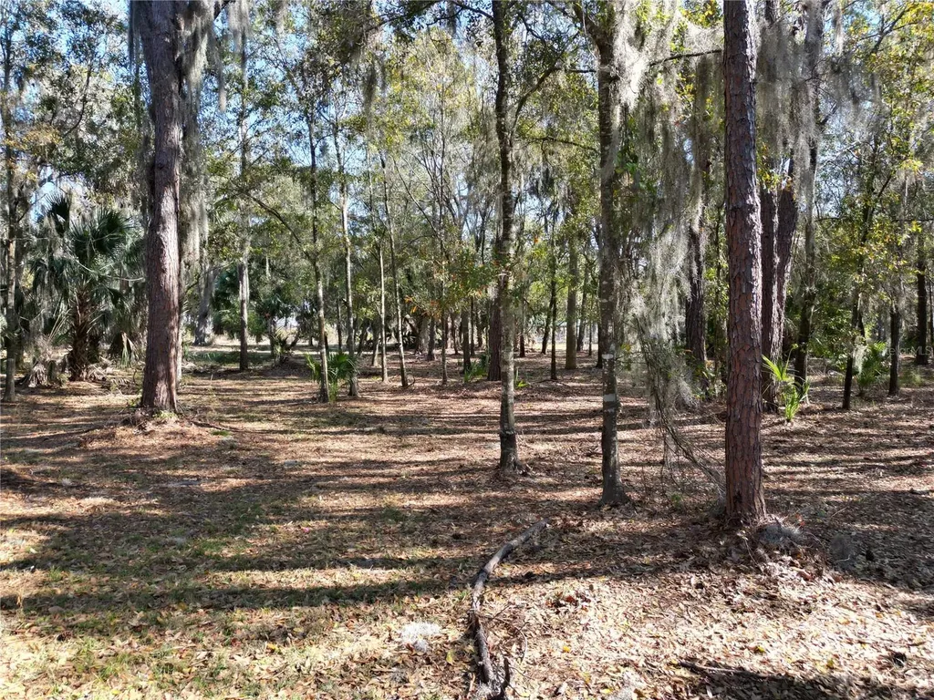 3672 Hidden River Lane Tavares FL 32778