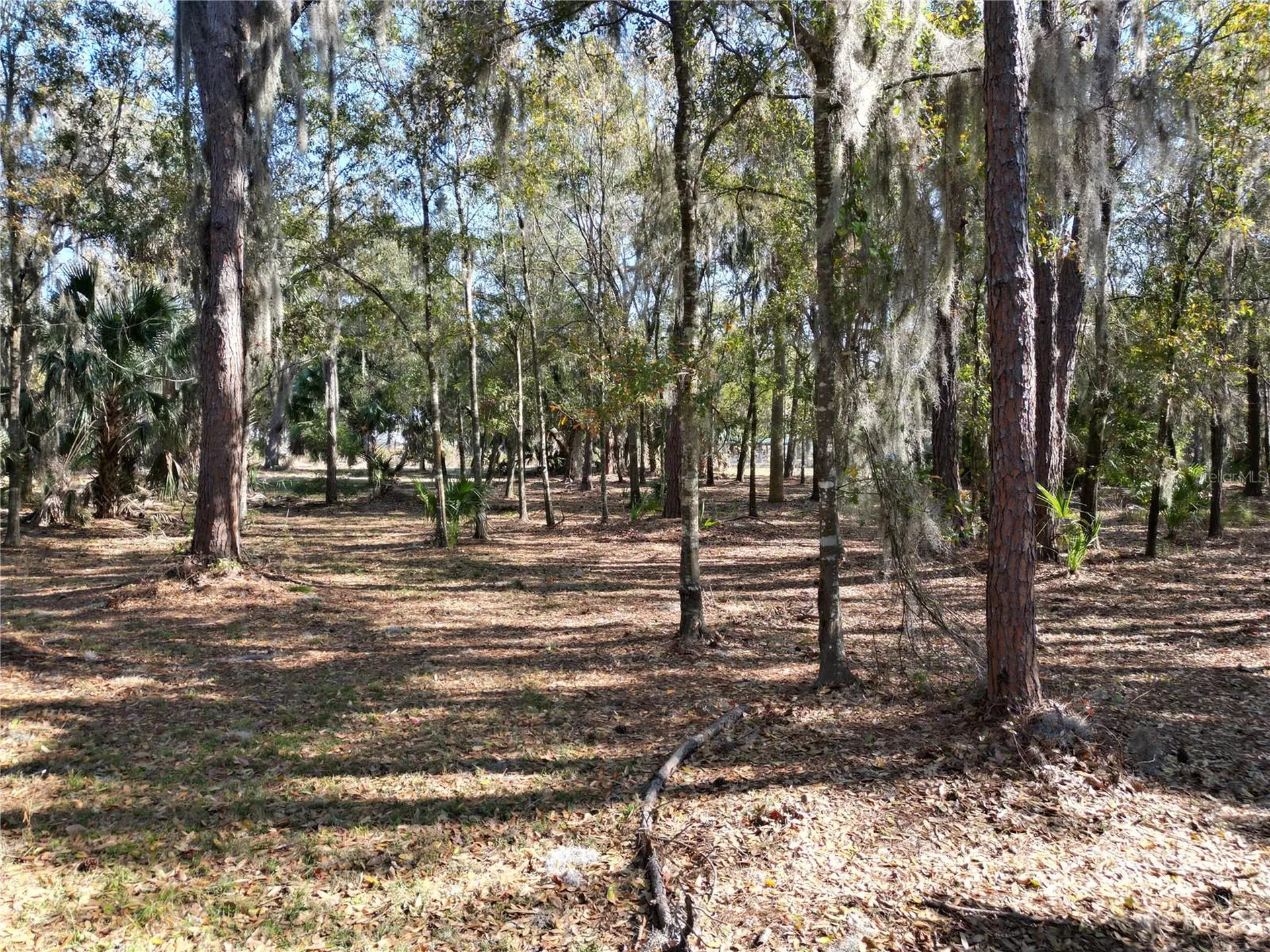 3672 Hidden River Lane Tavares FL 32778