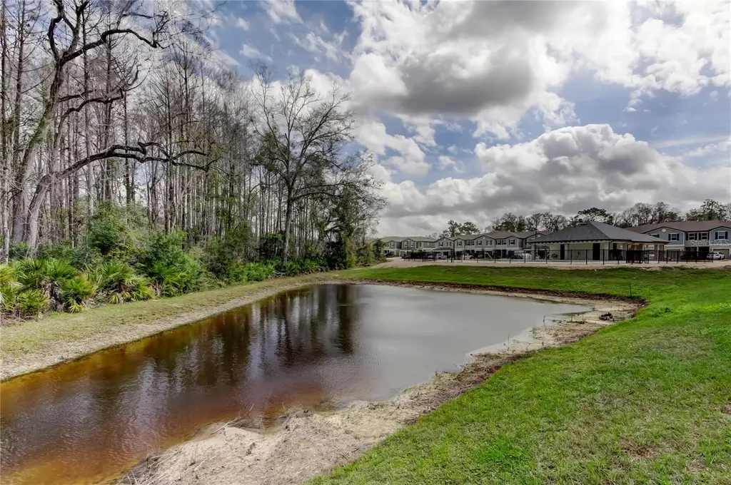 17567 Nectar Flume Drive Land O Lakes FL 34638
