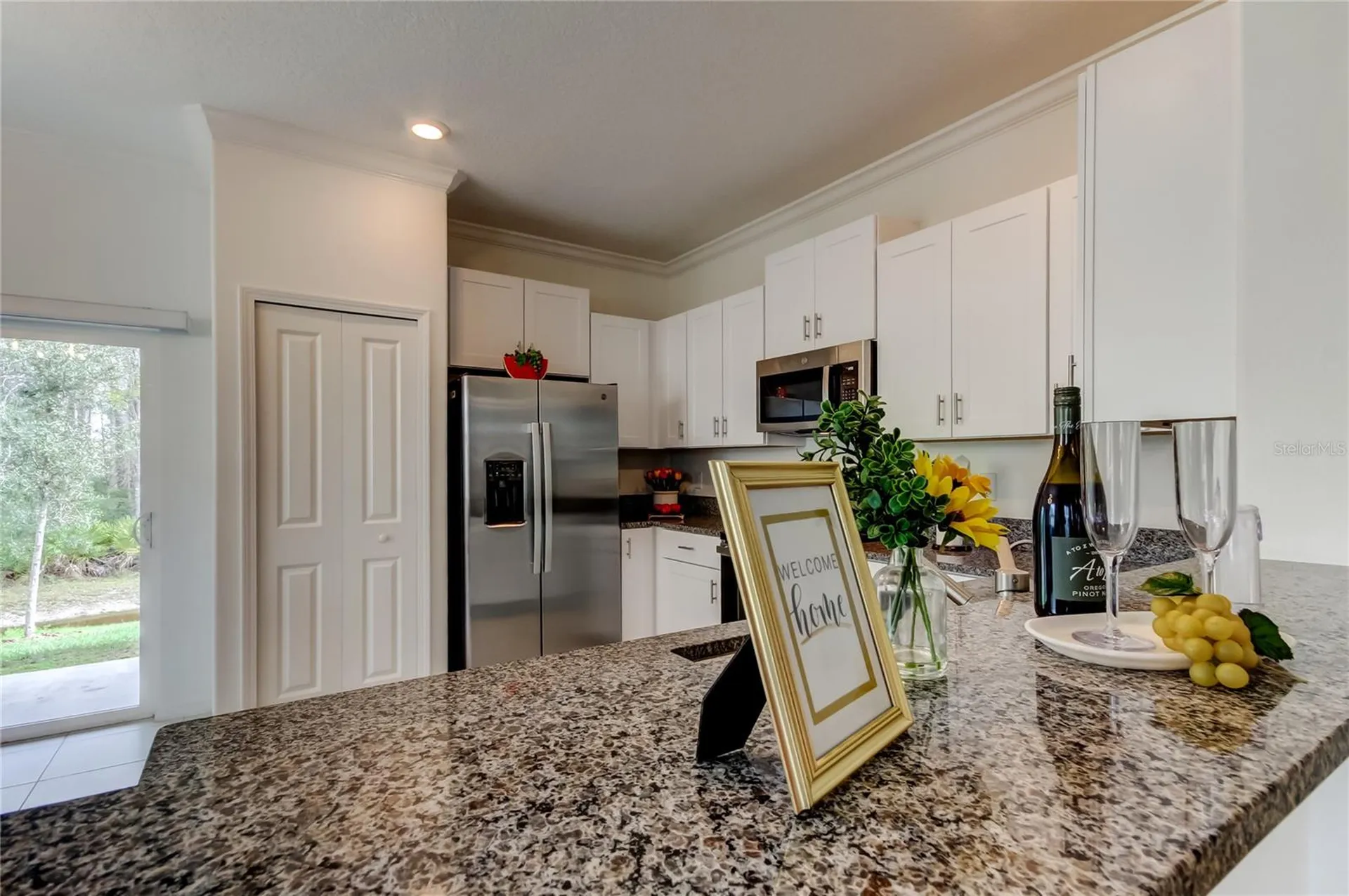 17567 Nectar Flume Drive Land O Lakes FL 34638
