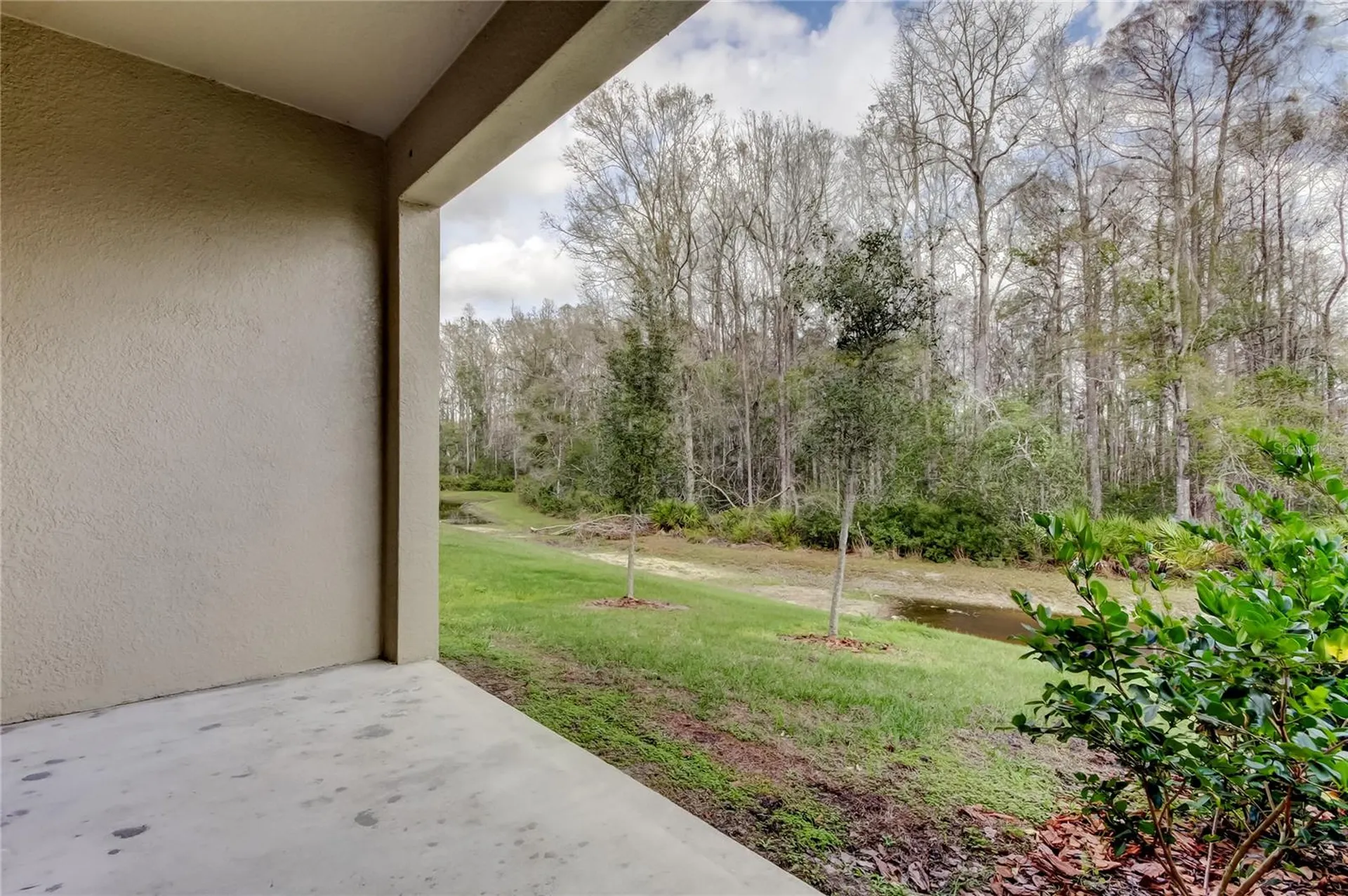 17567 Nectar Flume Drive Land O Lakes FL 34638