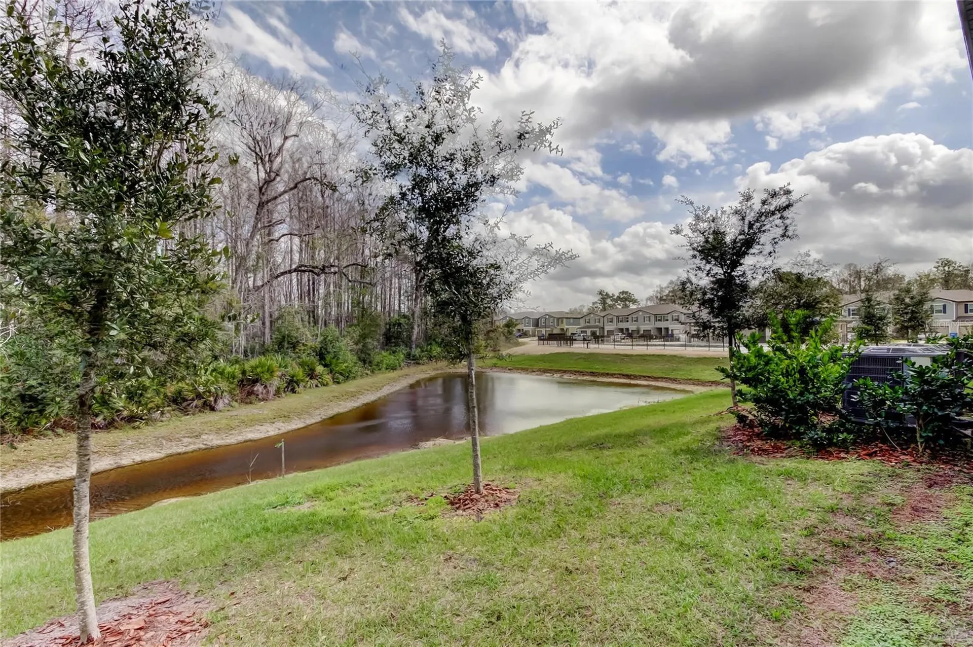 17567 Nectar Flume Drive Land O Lakes FL 34638