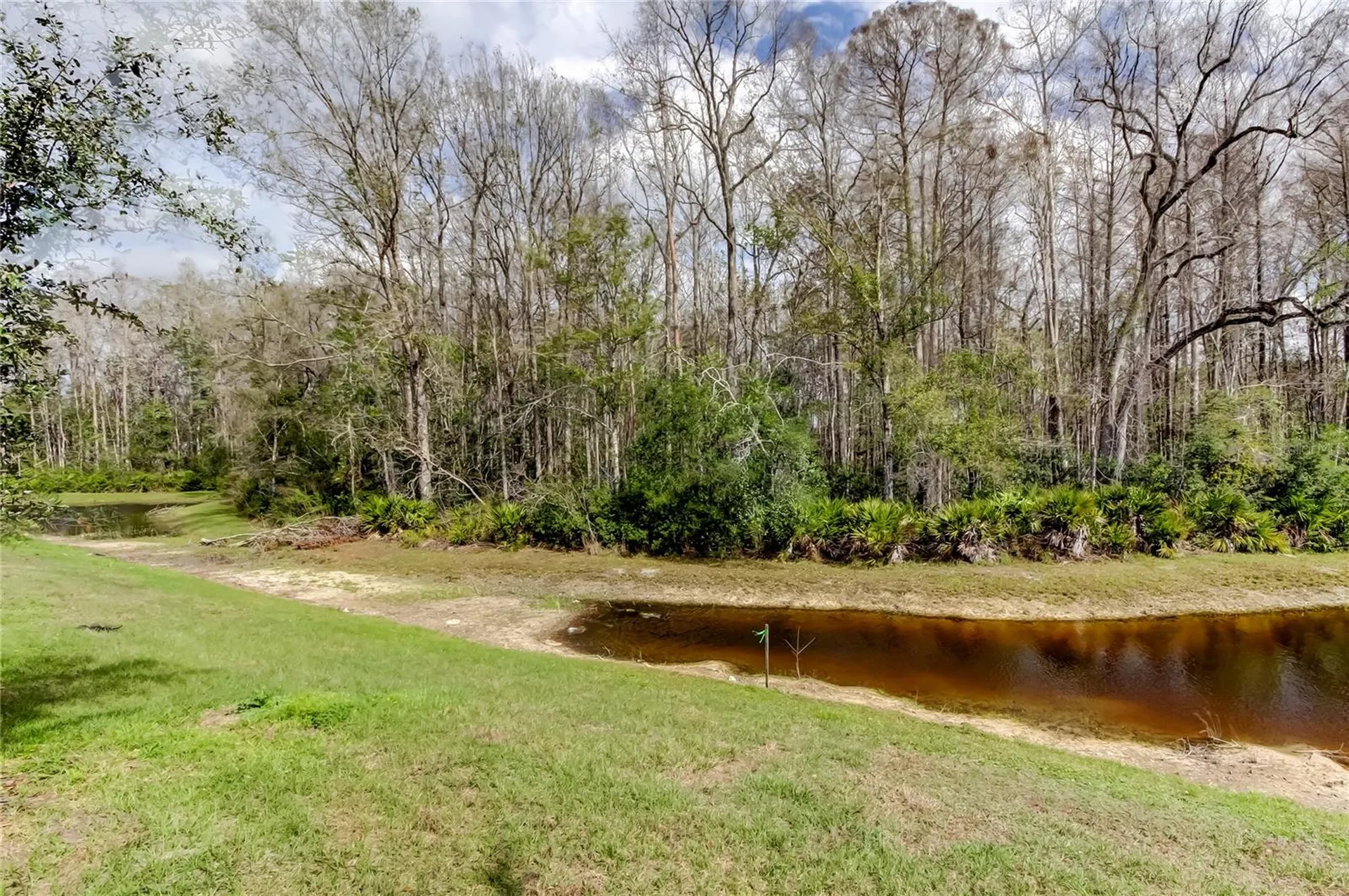 17567 Nectar Flume Drive Land O Lakes FL 34638