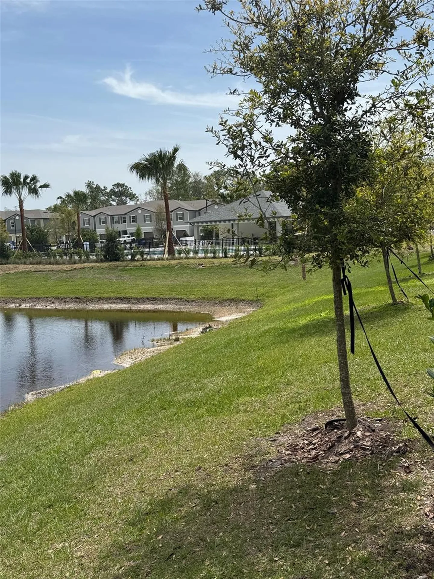 17567 Nectar Flume Drive Land O Lakes FL 34638