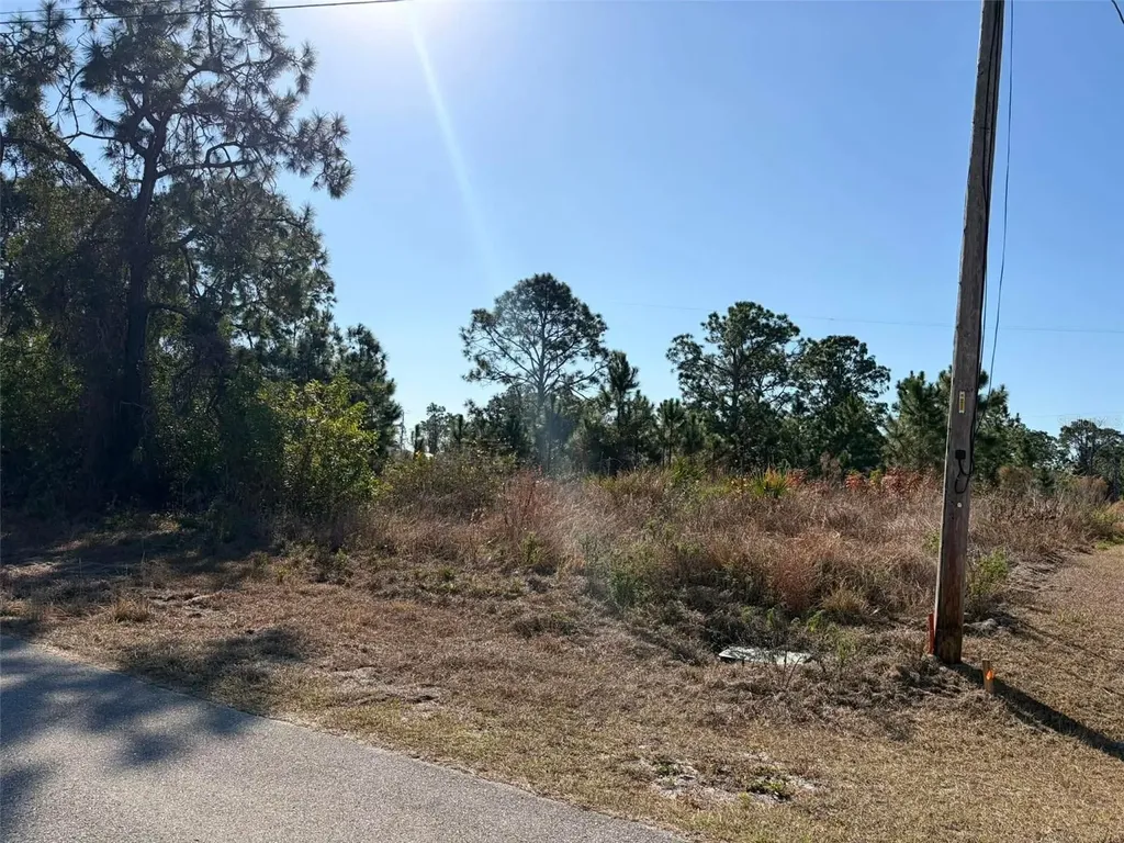 1036 Pilgrim Street E Lehigh Acres FL 33974