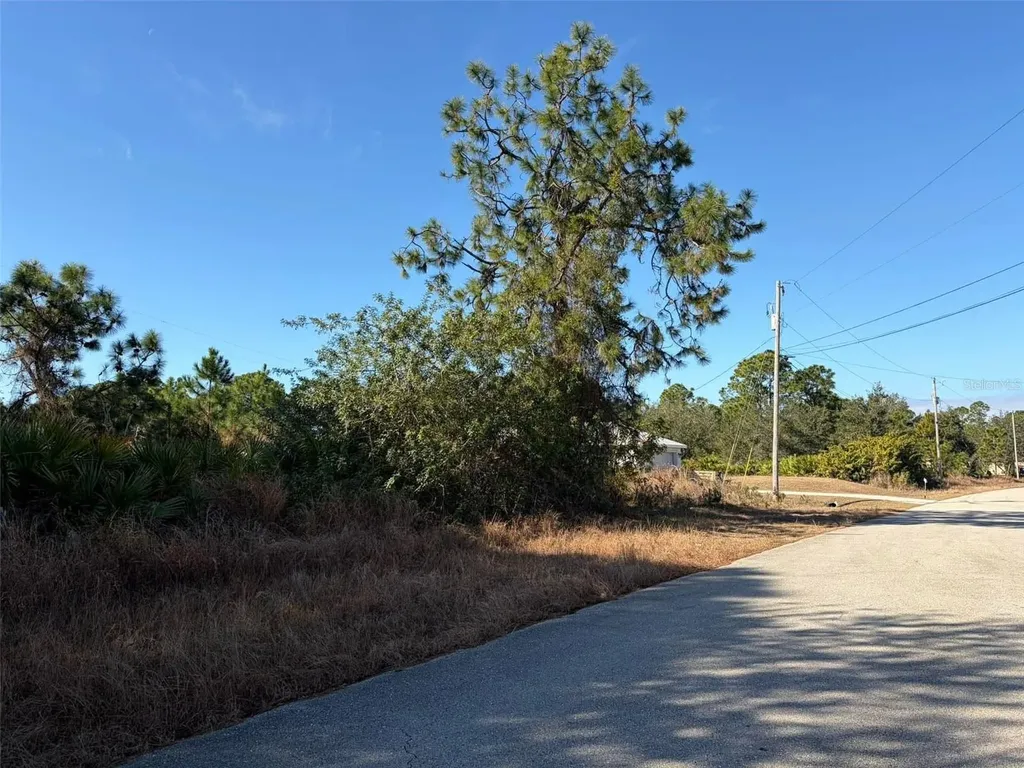 1036 Pilgrim Street E Lehigh Acres FL 33974