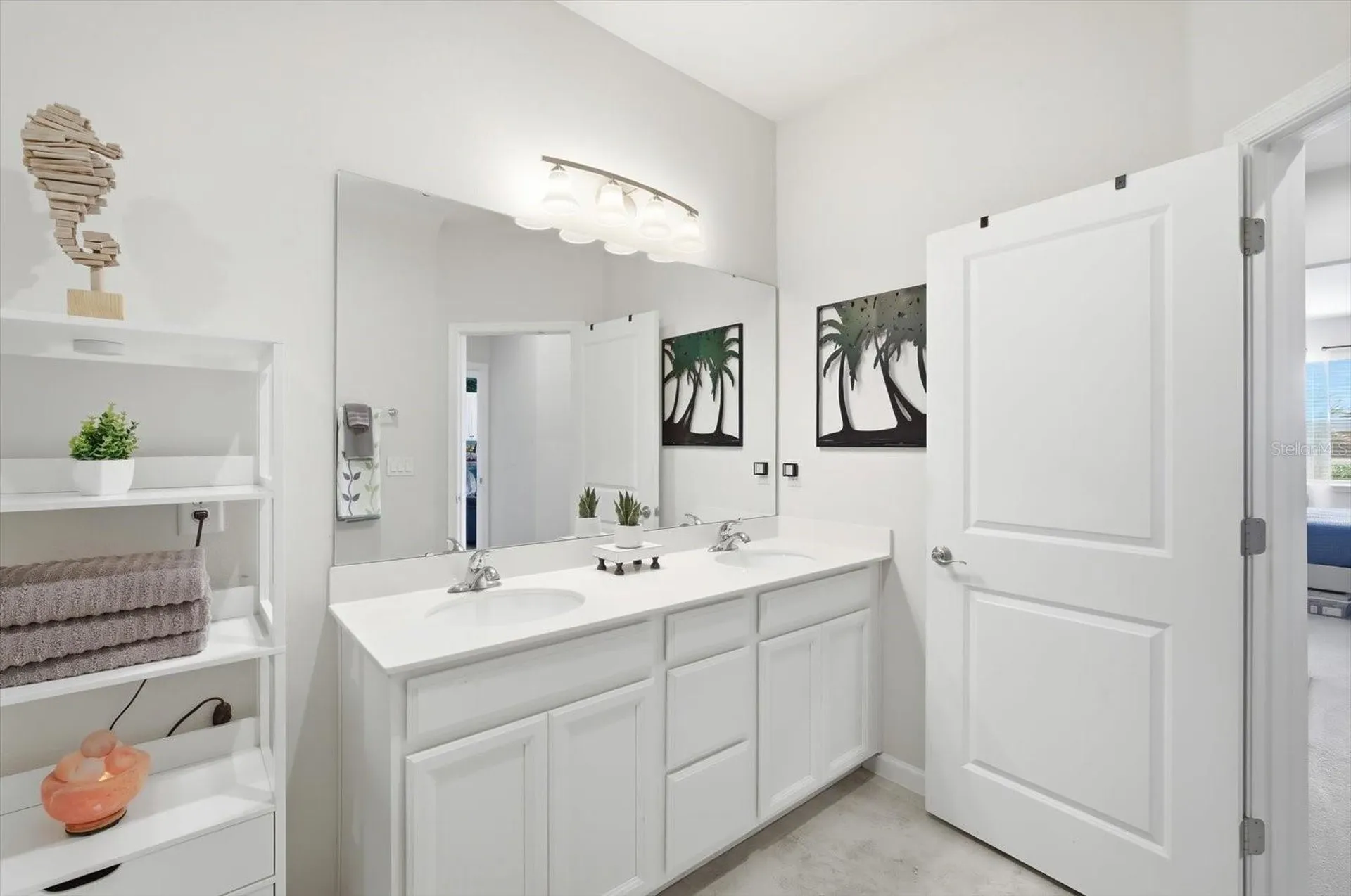 11605 Cleyera Court Riverview FL 33579