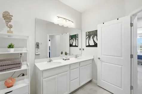 11605 Cleyera Court Riverview FL 33579