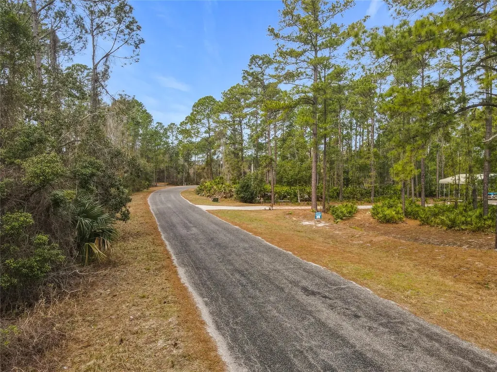 Apricot Avenue Eustis FL 32736