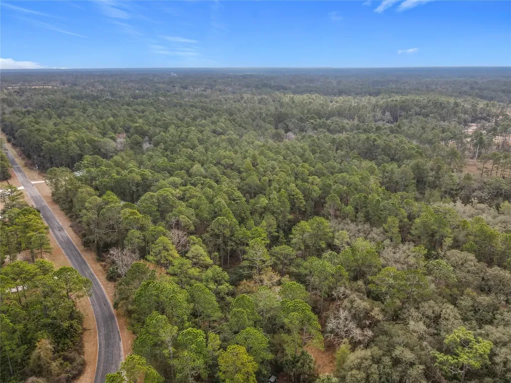 Apricot Avenue Eustis FL 32736
