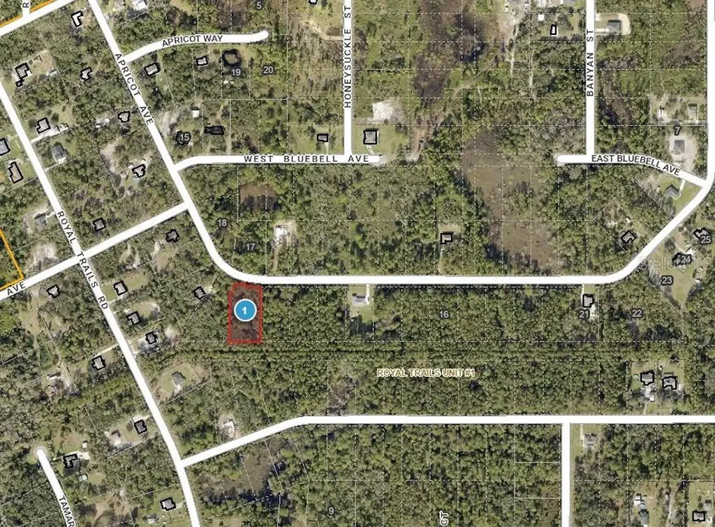 Apricot Avenue Eustis FL 32736