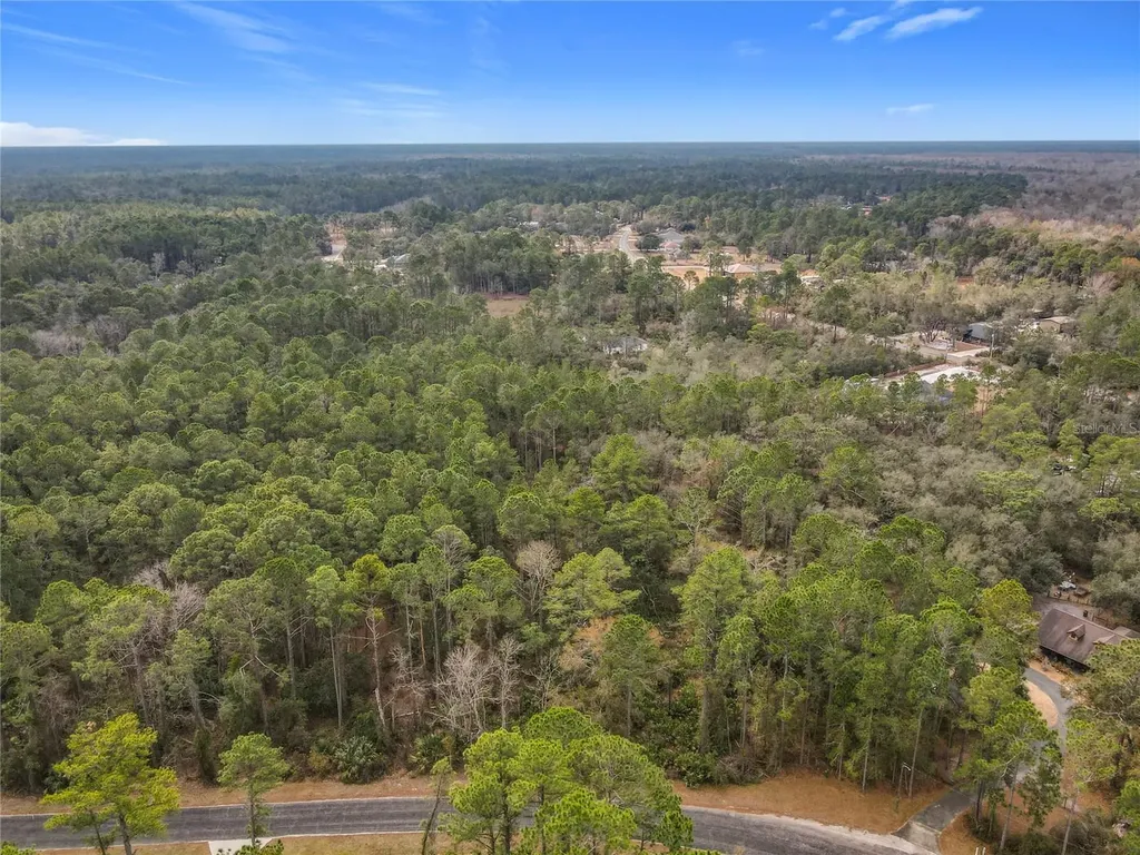 Apricot Avenue Eustis FL 32736