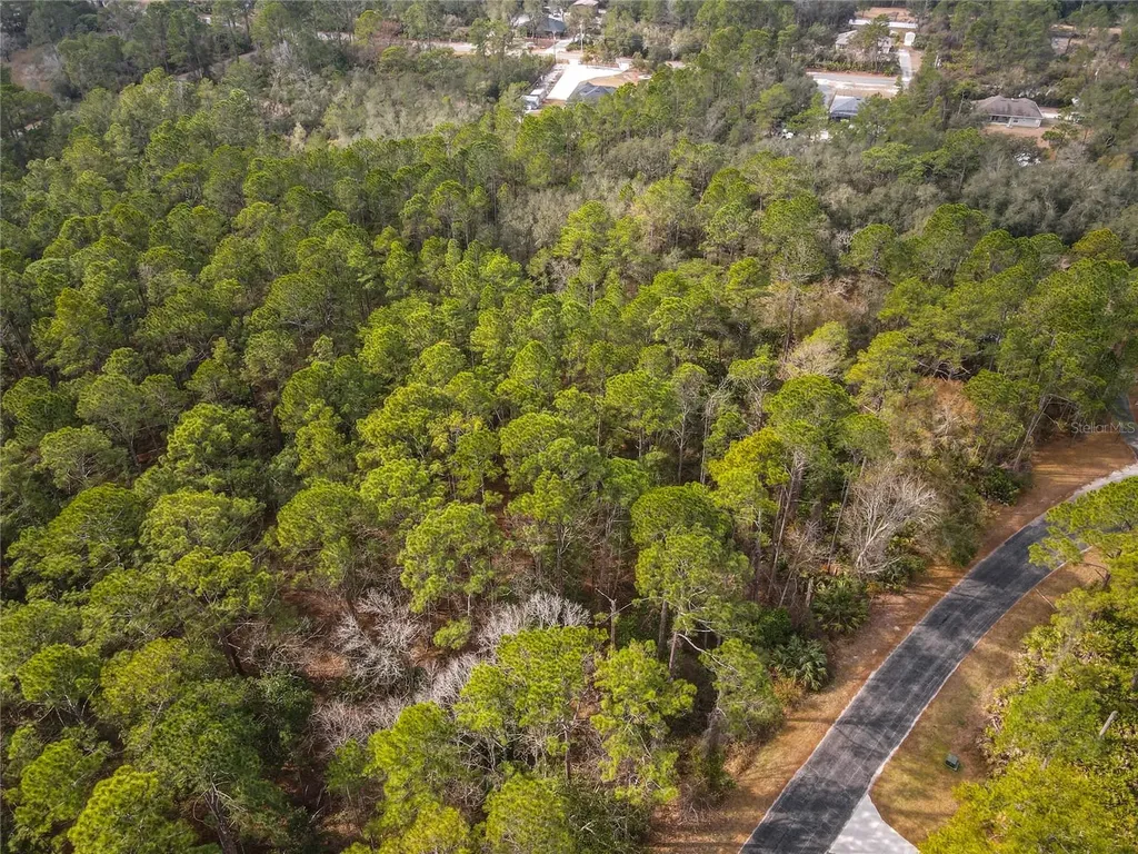 Apricot Avenue Eustis FL 32736