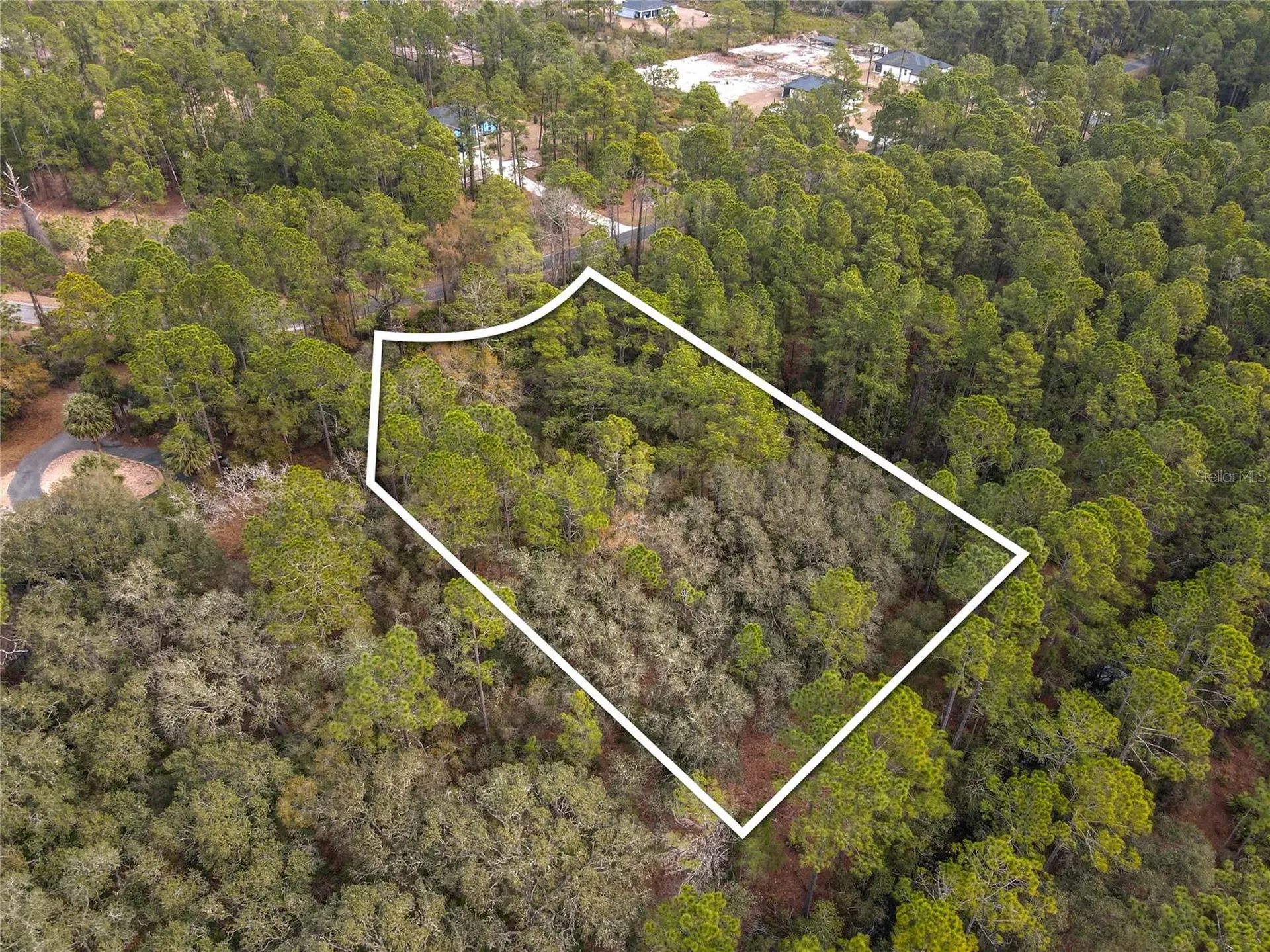 Apricot Avenue Eustis FL 32736