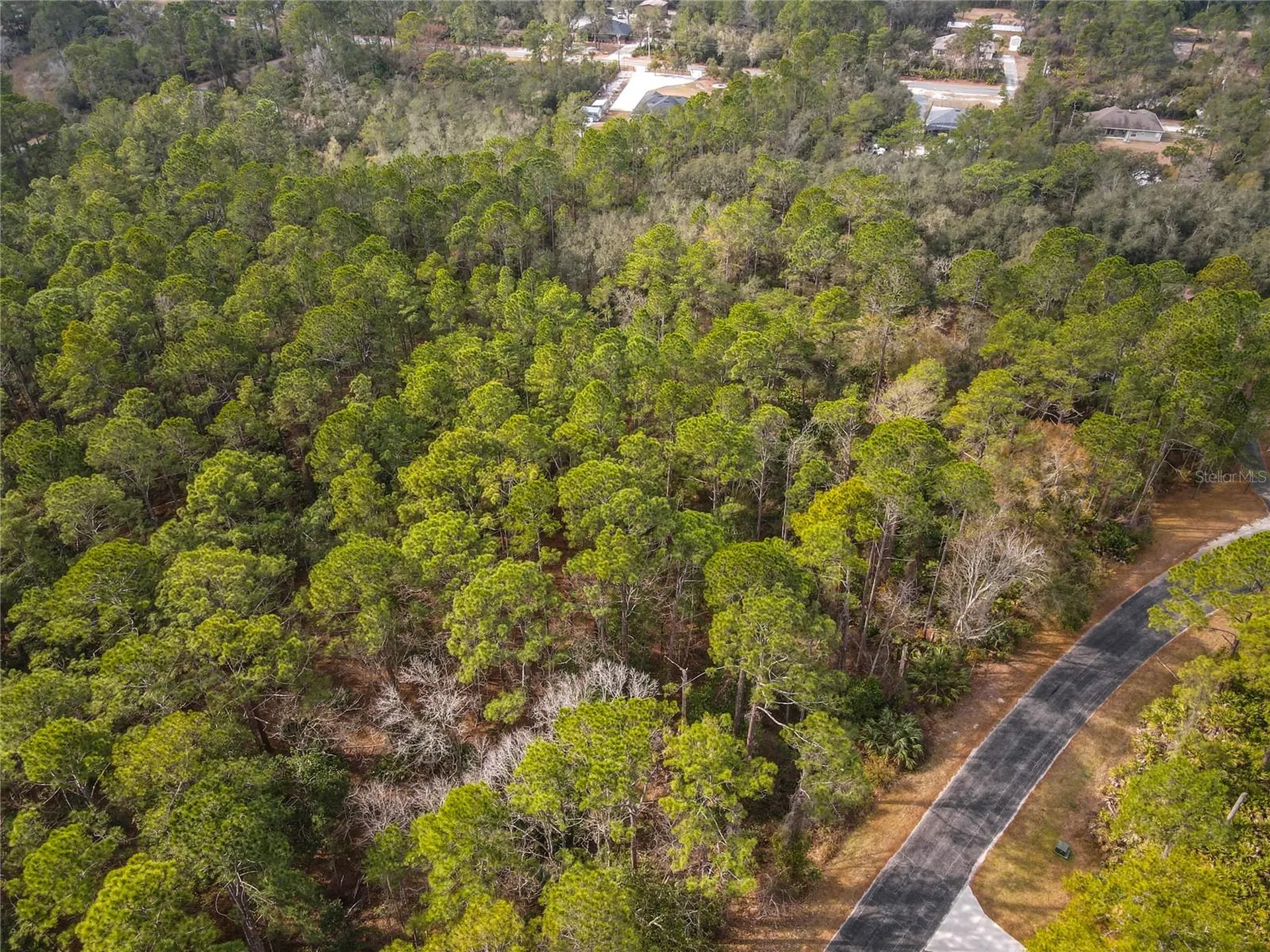 Apricot Avenue Eustis FL 32736
