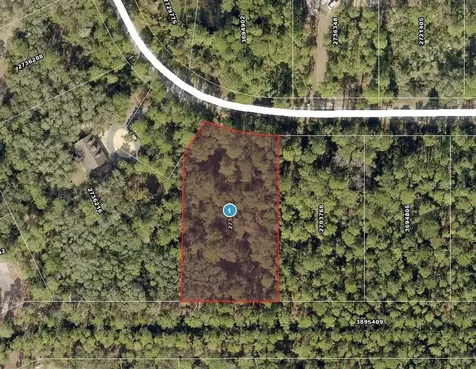 Apricot Avenue Eustis FL 32736