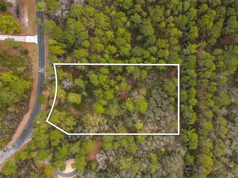 Apricot Avenue Eustis FL 32736