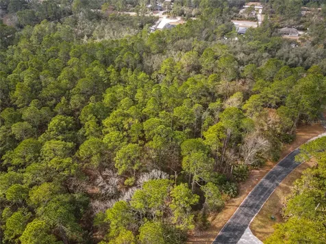 Apricot Avenue Eustis FL 32736