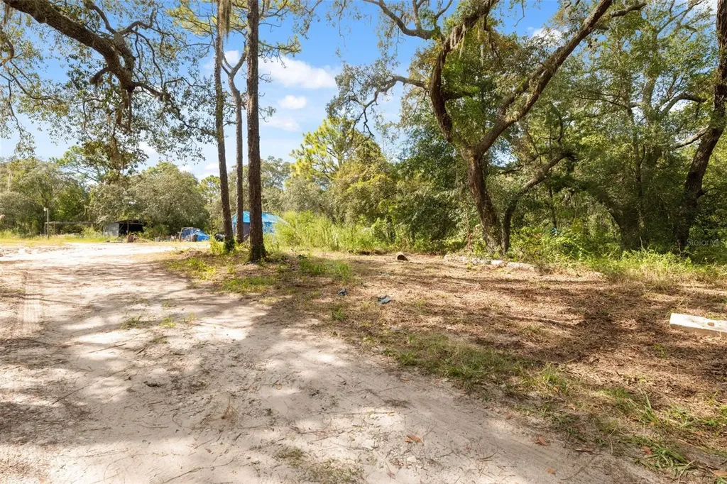 17221 Nicks Drive Spring Hill FL 34610
