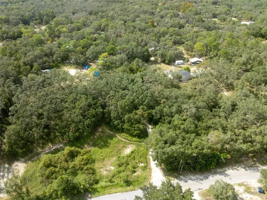 17221 Nicks Drive Spring Hill FL 34610