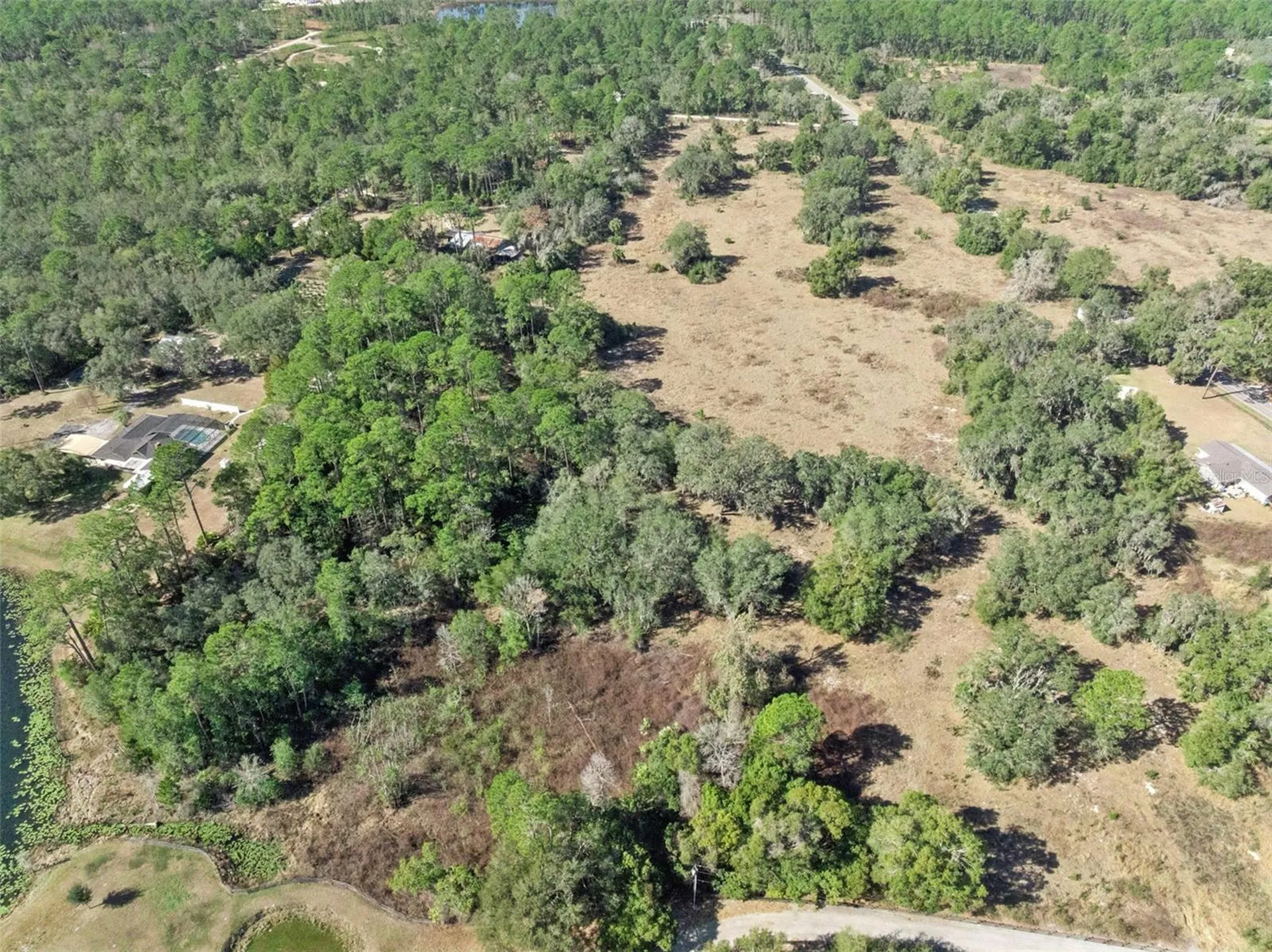 Reynolds Road De Leon Springs FL 32130