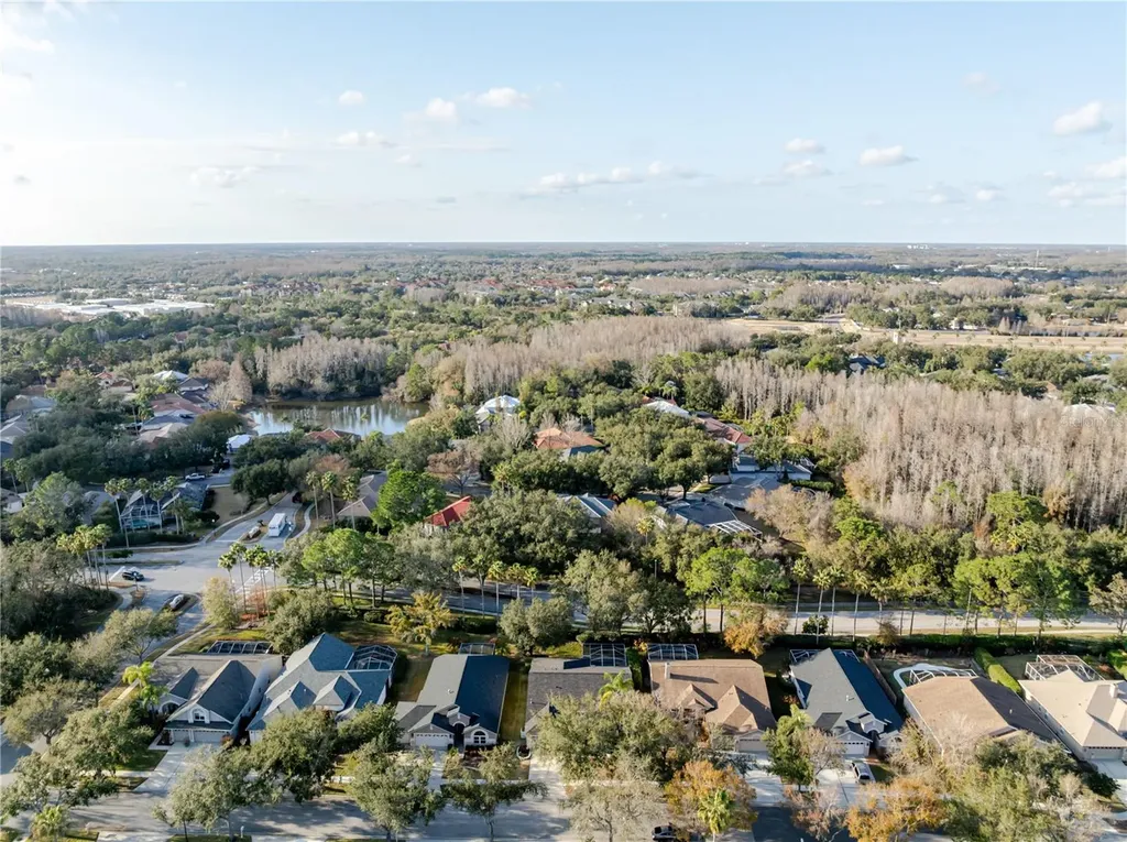 10208 Thicket Point Way Tampa FL 33647