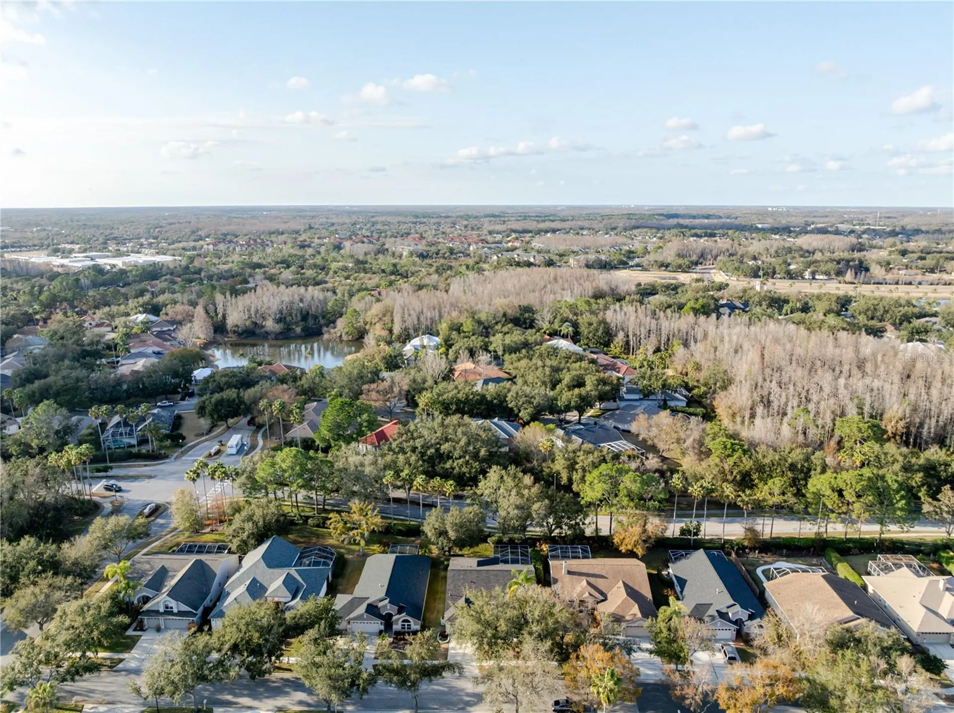 10208 Thicket Point Way Tampa FL 33647