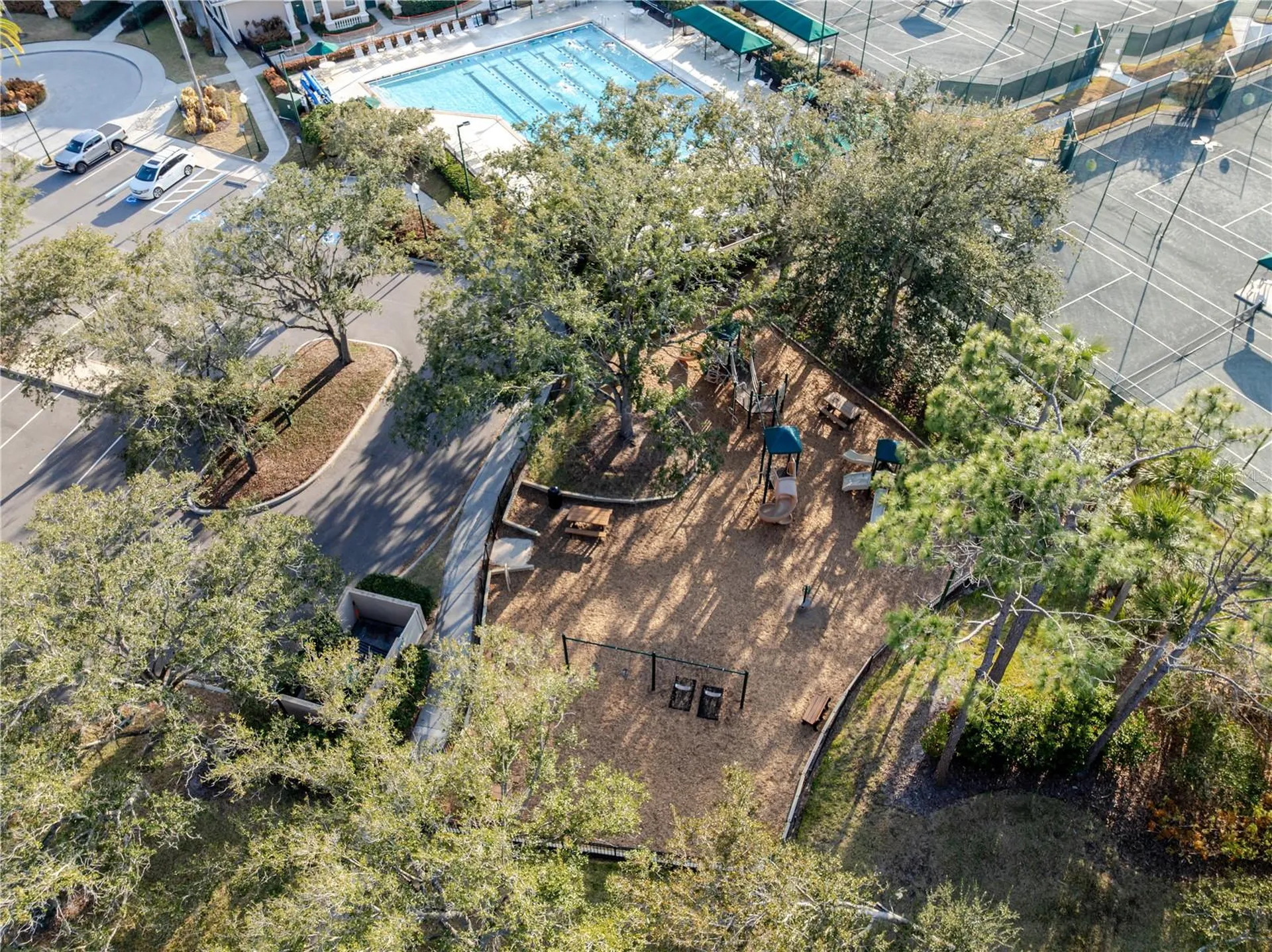 10208 Thicket Point Way Tampa FL 33647