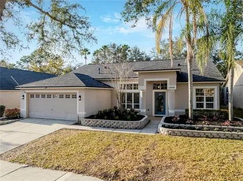 10208 Thicket Point Way Tampa FL 33647