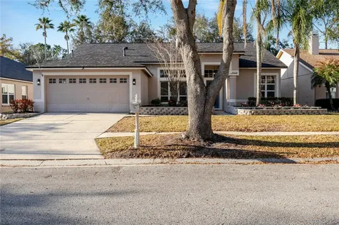 10208 Thicket Point Way Tampa FL 33647