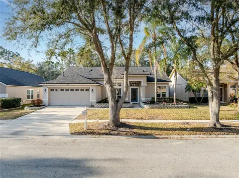 10208 Thicket Point Way Tampa FL 33647
