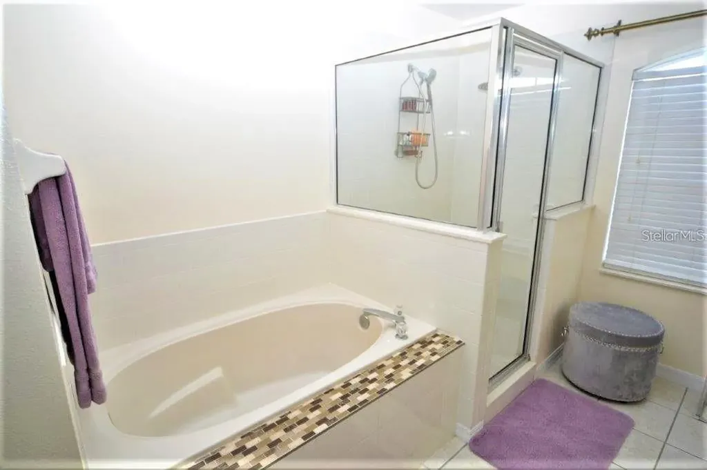13900 Fox Glove Street Winter Garden FL 34787