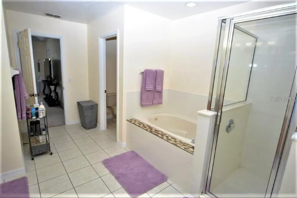 13900 Fox Glove Street Winter Garden FL 34787