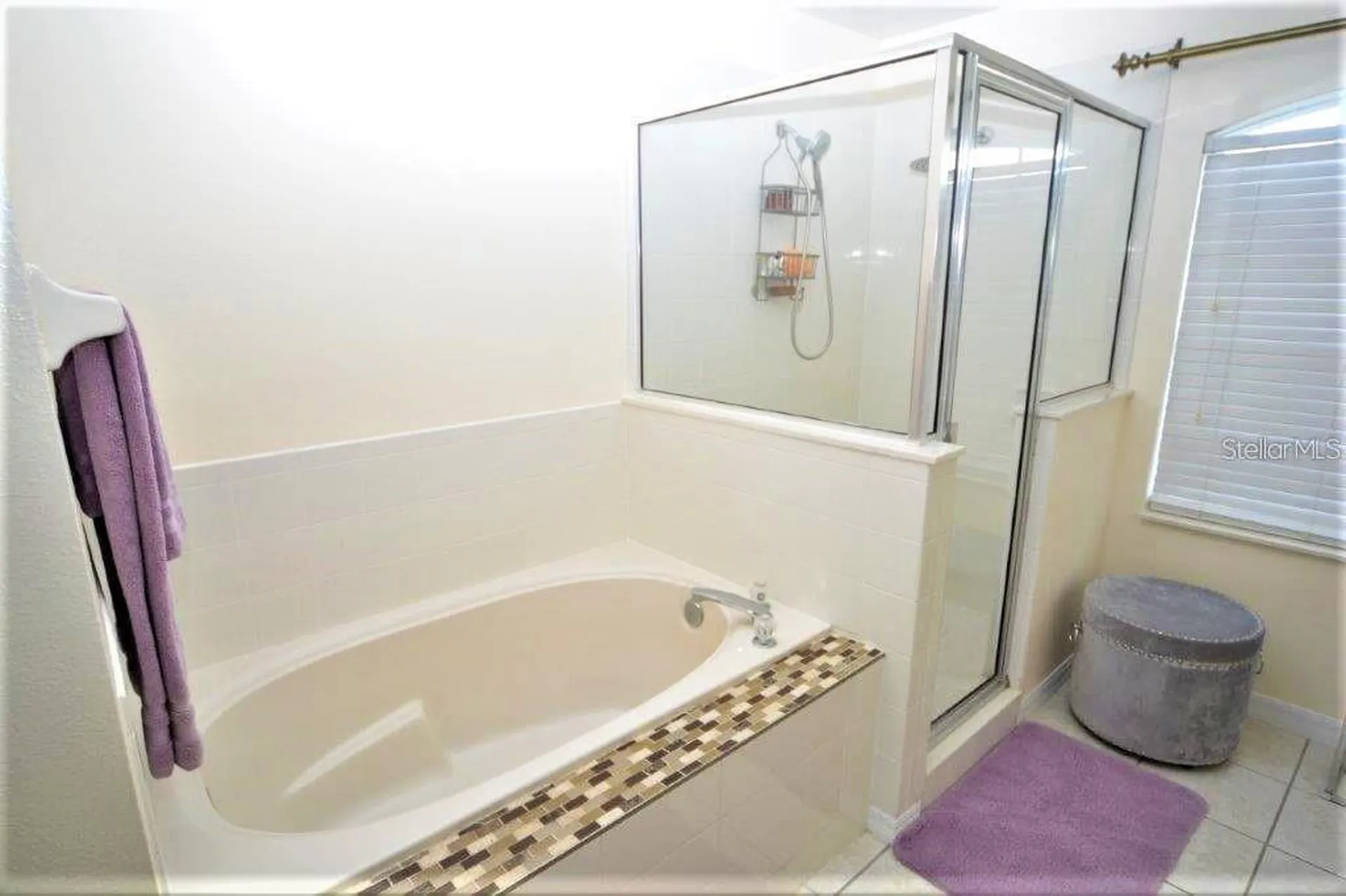 13900 Fox Glove Street Winter Garden FL 34787