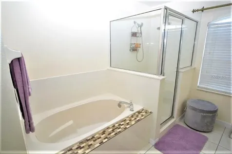 13900 Fox Glove Street Winter Garden FL 34787