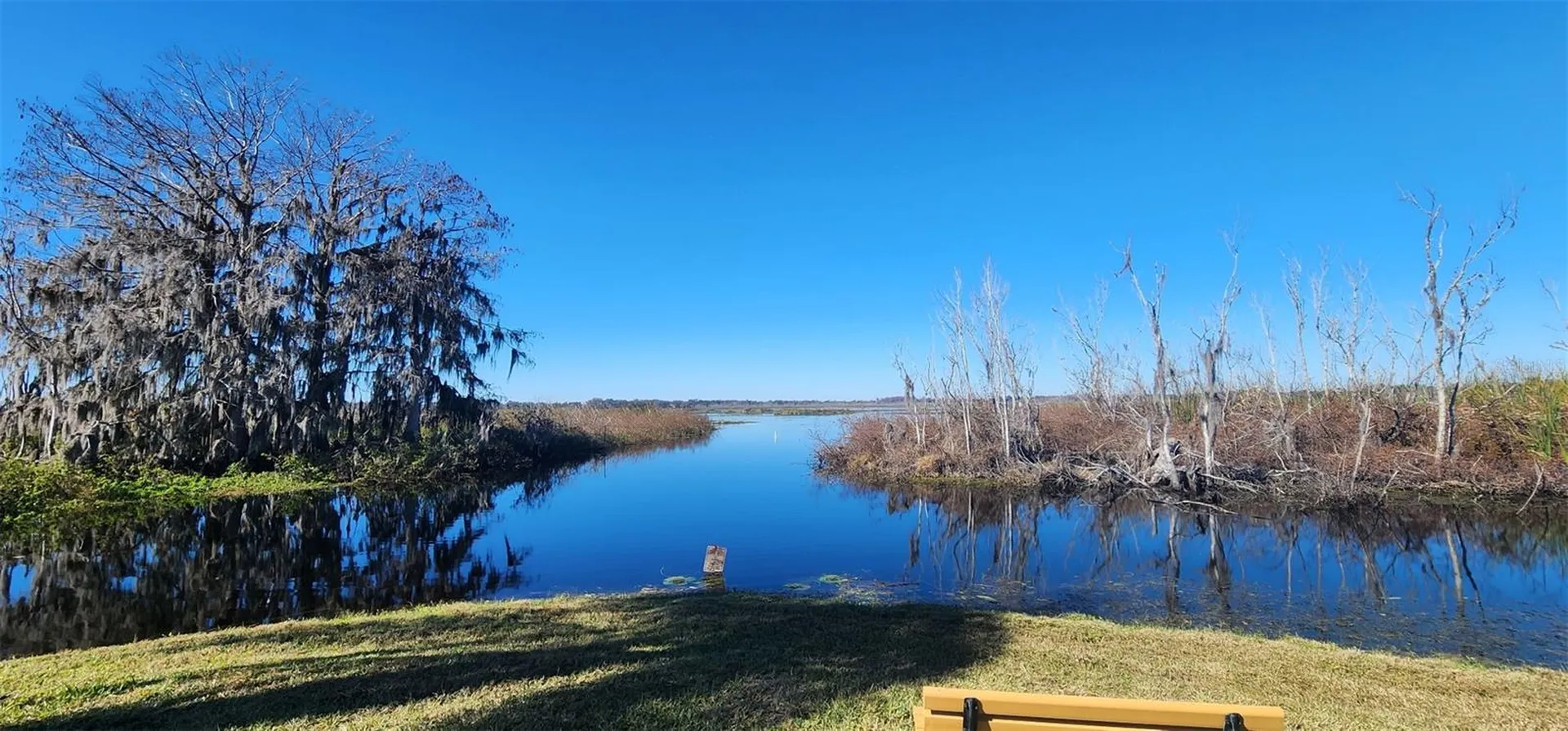 103 Lyonia Lane Wildwood FL 34785