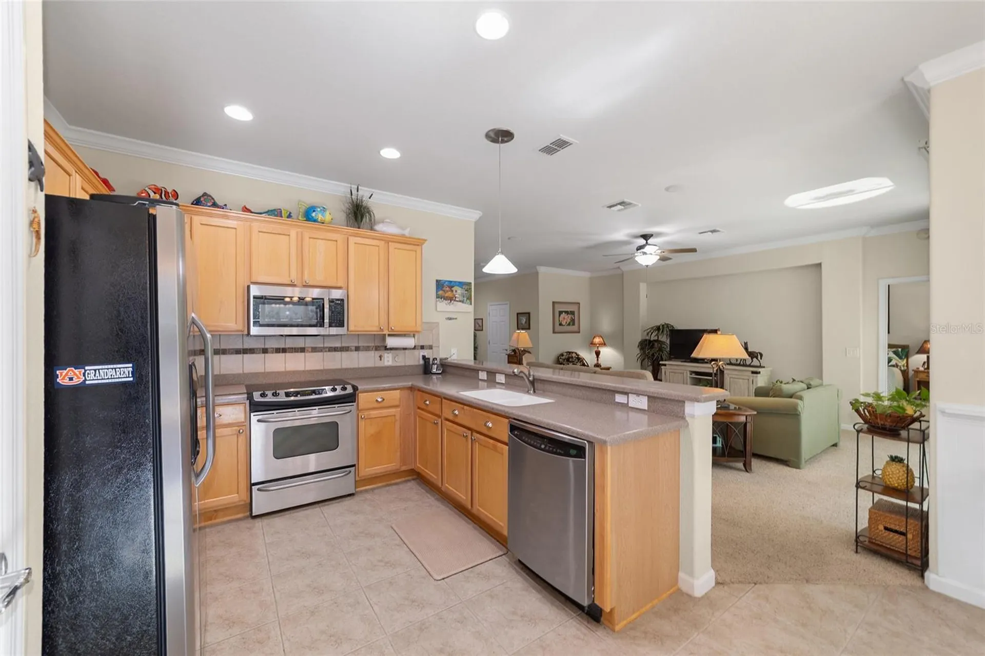 9419 SW 66th Loop Ocala FL 34481