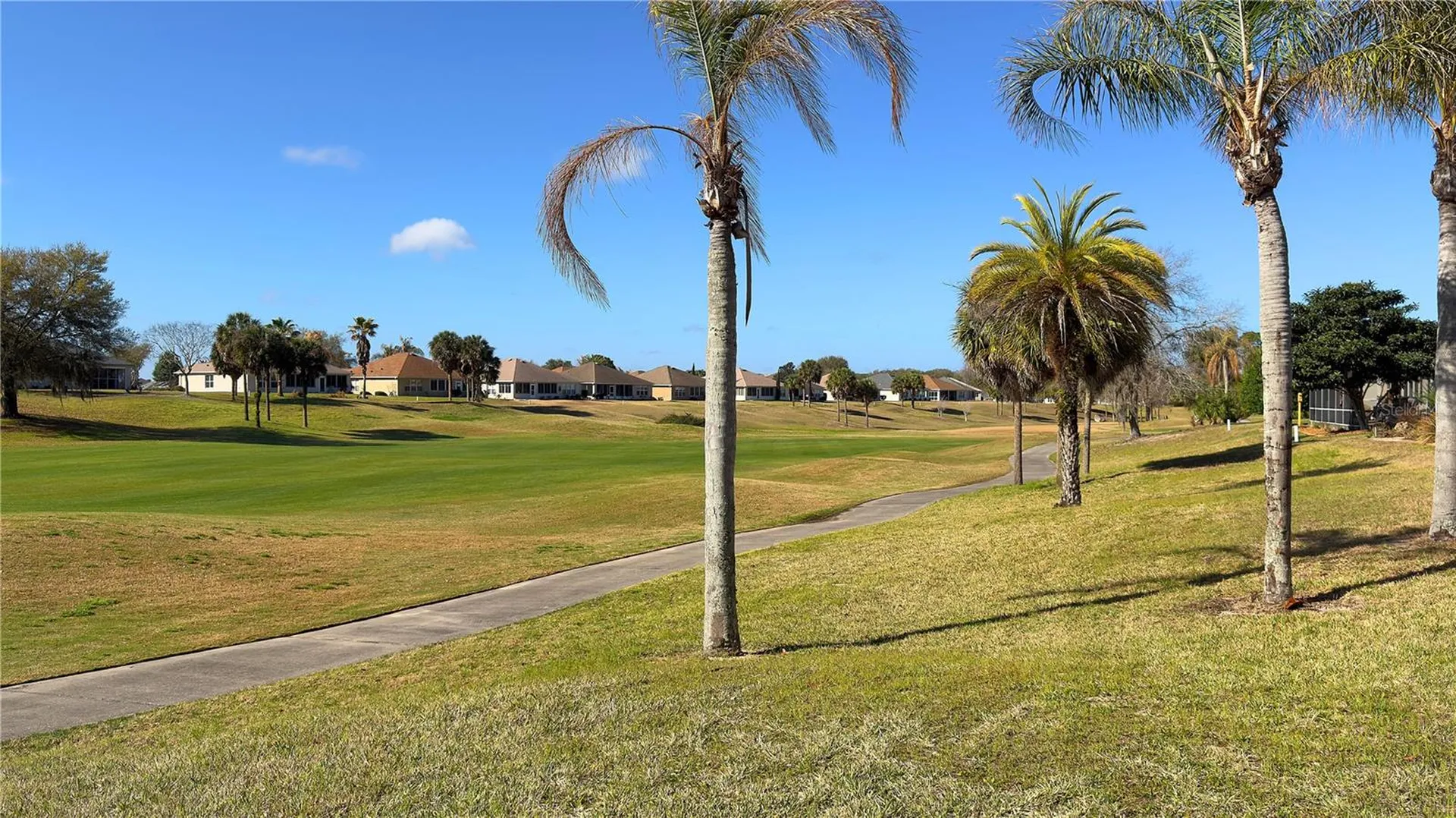 13068 SE 89th Circle Summerfield FL 34491