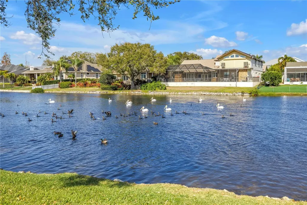 771 Suwannee Court NE St Petersburg FL 33702